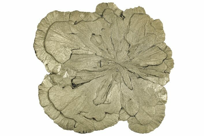 Pyrite Sun - Sparta, Illinois #315886